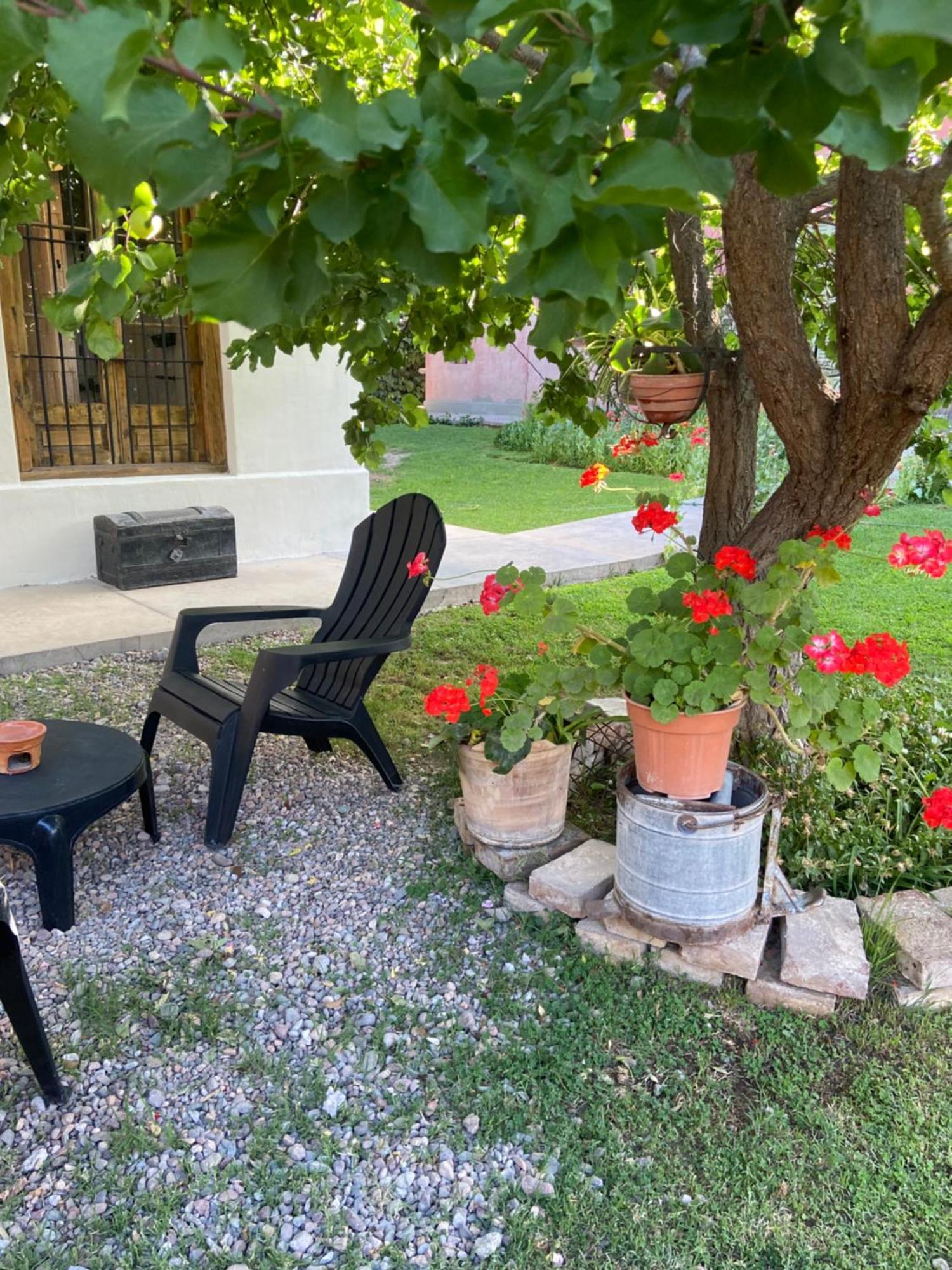 Apartmán Casa Terra Lujan de Cuyo Exteriér fotografie